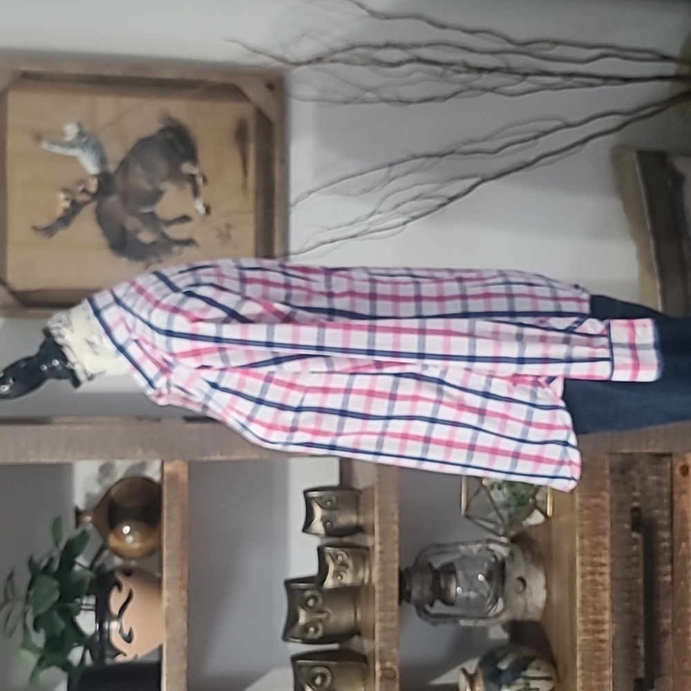 American Eagle Outfitters Pink, Blue & White Plaid Shirt - Picture 6 of 9